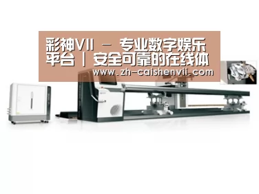 视频展示一