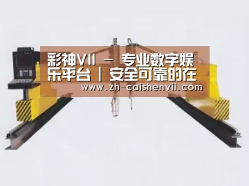 产品名称十九