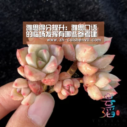 雅思得分提升:雅思口语的临场发挥有哪些参考建议-彩神vii(图2) 彩神vii