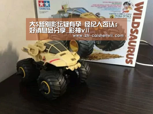 大S暂别影坛疑有孕 经纪人否认:好消息会分享_彩神vii(图2) 彩神vii