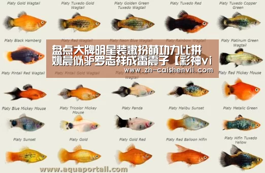 盘点大牌明星装嫩扮萌功力比拼 姚晨似驴罗志祥成雷震子【彩神vii】(图3) 彩神vii