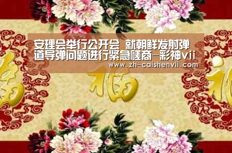 安理会举行公开会 就朝鲜发射弹道导弹问题进行紧急磋商-彩神vii(图2) 彩神vii