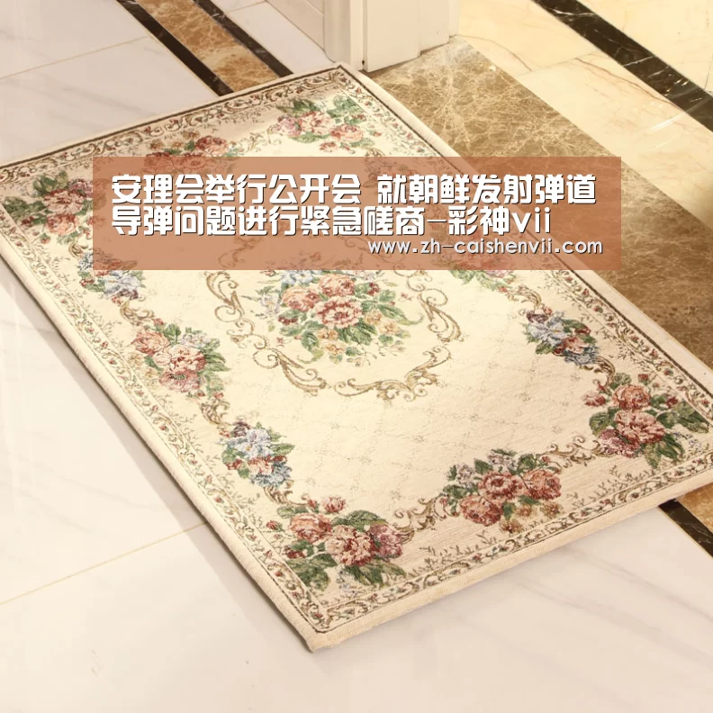 安理会举行公开会 就朝鲜发射弹道导弹问题进行紧急磋商-彩神vii(图1) 彩神vii